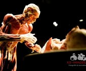 Impression KOERPERWELTEN und Der Zyklus desLebens