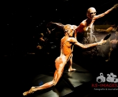 Impression KOERPERWELTEN und Der Zyklus desLebens