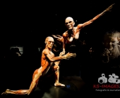 Impression KOERPERWELTEN und Der Zyklus desLebens