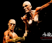 Impression KOERPERWELTEN und Der Zyklus desLebens