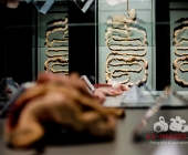 Impression KOERPERWELTEN und Der Zyklus desLebens