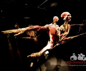 Impression KOERPERWELTEN und Der Zyklus desLebens