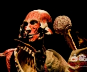 Impression KOERPERWELTEN und Der Zyklus desLebens