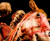 Impression KOERPERWELTEN und Der Zyklus desLebens