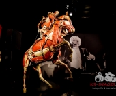 Impression KOERPERWELTEN und Der Zyklus desLebens