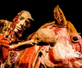 Impression KOERPERWELTEN und Der Zyklus desLebens