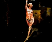 Impression KOERPERWELTEN und Der Zyklus desLebens