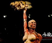 Impression KOERPERWELTEN und Der Zyklus desLebens