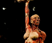 Impression KOERPERWELTEN und Der Zyklus desLebens