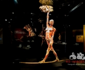 Impression KOERPERWELTEN und Der Zyklus desLebens