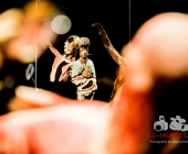 Impression KOERPERWELTEN und Der Zyklus desLebens