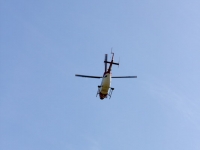vul1100steinheim-0041