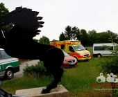 Tödlicher Arbeitsunfall - 2 Menschen in Baukran eingeklemmt