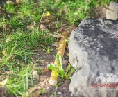 Bandenkrieg? - Gruppe Russen von anderer Personengruppe angegriffen - Einer niedergestochen mehrere Verletzte ein zertrümmerter PKW aus der Straße