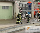 110718_marbachlazgold_7a-0019