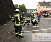 110718_marbachlazgold_7a-0051