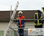 110718_marbachlazgold_7a-0081