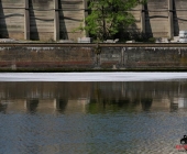 20140424_Hydrauliköl läuft in Neckar 3 Boote im Einsatz - Exklisive Bilder aus Boot-0546