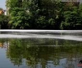 20140424_Hydrauliköl läuft in Neckar 3 Boote im Einsatz - Exklisive Bilder aus Boot-0570