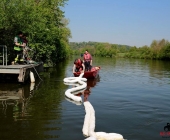 20140424_Hydrauliköl läuft in Neckar 3 Boote im Einsatz - Exklisive Bilder aus Boot-0581