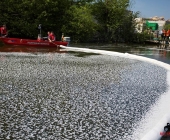 20140424_Hydrauliköl läuft in Neckar 3 Boote im Einsatz - Exklisive Bilder aus Boot-0590