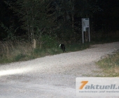 suche-0018