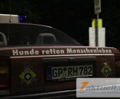 suche-0021