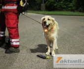 suche-0040