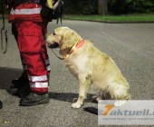 suche-0041