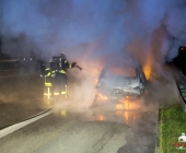 20140306_PKW Brand A81 Pleidelheim Mundelsheim003