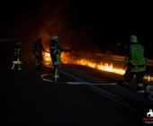 20140306_PKW Brand A81 Pleidelheim Mundelsheim015