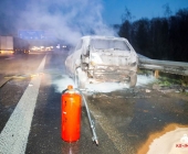 20140306_PKW Brand A81 Pleidelheim Mundelsheim033