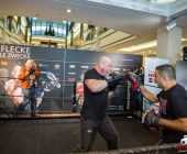 hueck-vs-krasniqi-pressetraining-13-11-2013-charety-boxen_-0093