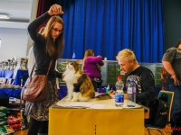 ks_img_0014
