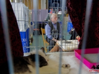 ks_img_0020