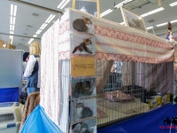 ks_img_0034