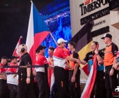 stihl-timbersports-weiltmeisterschaft-stuttgart-25-10-2013_-0038