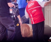 stihl-timbersports-weiltmeisterschaft-stuttgart-25-10-2013_-0055