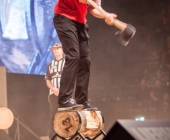 stihl-timbersports-weiltmeisterschaft-stuttgart-25-10-2013_-0061