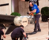stihl-timbersports-weiltmeisterschaft-stuttgart-25-10-2013_-0073