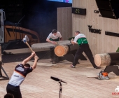 stihl-timbersports-weiltmeisterschaft-stuttgart-25-10-2013_-0088