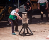 stihl-timbersports-weiltmeisterschaft-stuttgart-25-10-2013_-0095