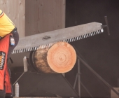 stihl-timbersports-weiltmeisterschaft-stuttgart-25-10-2013_-0108