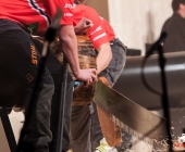 stihl-timbersports-weiltmeisterschaft-stuttgart-25-10-2013_-0116