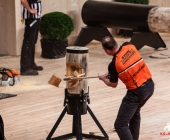 stihl-timbersports-weiltmeisterschaft-stuttgart-25-10-2013_-0130