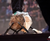 stihl-timbersports-weiltmeisterschaft-stuttgart-25-10-2013_-0154