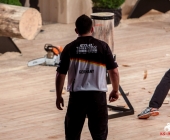stihl-timbersports-weiltmeisterschaft-stuttgart-25-10-2013_-0174