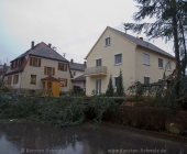 tanne-0006