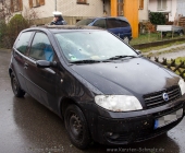 tanne-0019