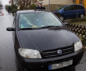 tanne-0020